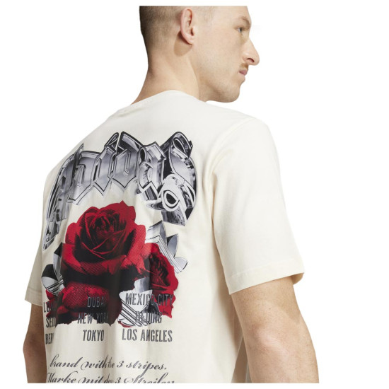 TS FASHION 3